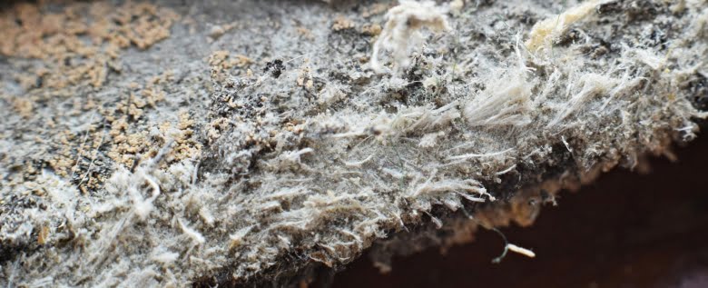 5 Facts You Need To Know About Asbestos - TotalDemolitionBrisbane.com.au